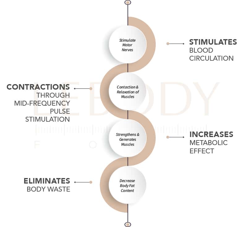 how-does-lebody-21-work