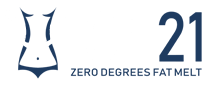 ice21-logo-small